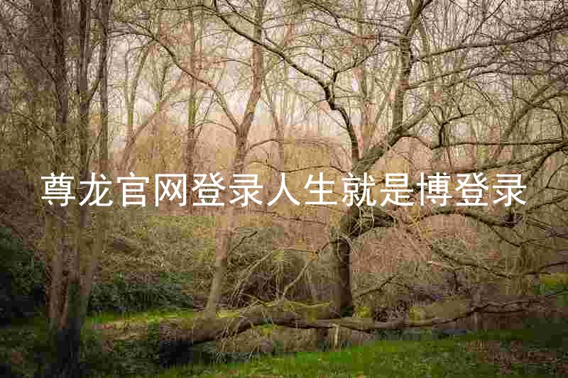 尊龙官网登录人生就是博登录